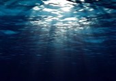 اعماق مختلف اقیانوس‌ مقادیر متفاوتی از کربن را ترسیب می‌کنند