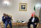 Diplomat Highlights Role of D-8 in Iran’s Economic Diplomacy