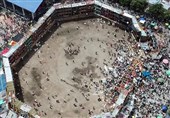 Stands Collapse during Bullfighting in Colombia, Killing 5 (+Video)