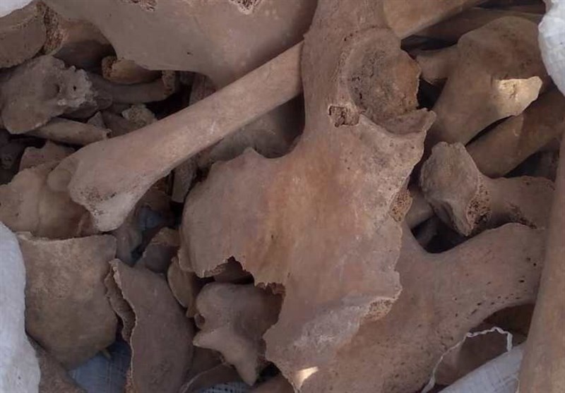 بقایای اسکلت 2 انسان در محوطه تاریخی کدکن تربت‌حیدریه کشف شد