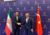 امیر عبداللهیان یلتقی نظیره الترکی فی انقرة