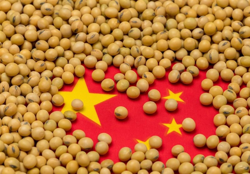 بررسی 4 عامل مهم در استراتژی امنیت غذایی چین/ چگونه سویا پاشنه آشیل چین در جنگ تجاری با آمریکا شد؟