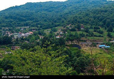 سیاهی زغال بر سبزی سوادکوه - مازندران