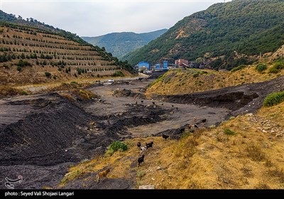 سیاهی زغال بر سبزی سوادکوه - مازندران