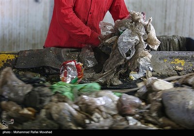 بمناسبت روز جهانی بدون پلاستیک