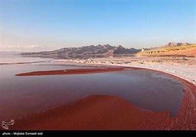  "توقف توسعه اراضی کشاورزی" شاه کلید احیای دریاچه ارومیه است 