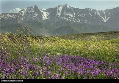 کوه پایه اشترانکوه در روستای کمندان شهرستان ازنا