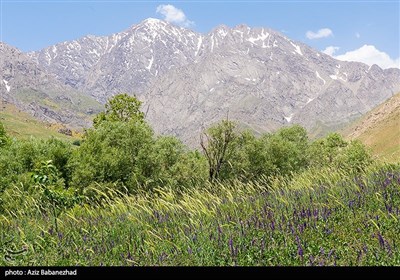 کوه پایه اشترانکوه در روستای کمندان شهرستان ازنا