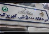 سردخانه و کارخانه بسته بندی محصولات کشاورزی در تهران افتتاح شد