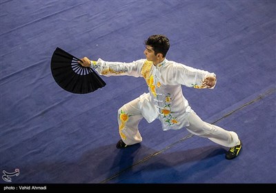 Wushu Championships Held in Iran