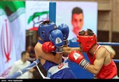 سی و یکمین دوره مسابقات بوکس قهرمانی جوانان کشور