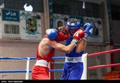 سی و یکمین دوره مسابقات بوکس قهرمانی جوانان کشور