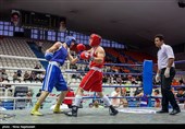 سی و یکمین دوره مسابقات بوکس قهرمانی جوانان کشور
