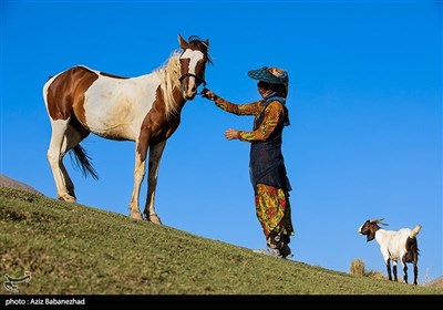 Nomads in Summer Camp in Western Iran