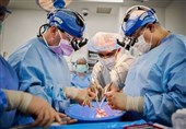 Researchers Successfully Perform Pig-to-Human Heart Transplantation