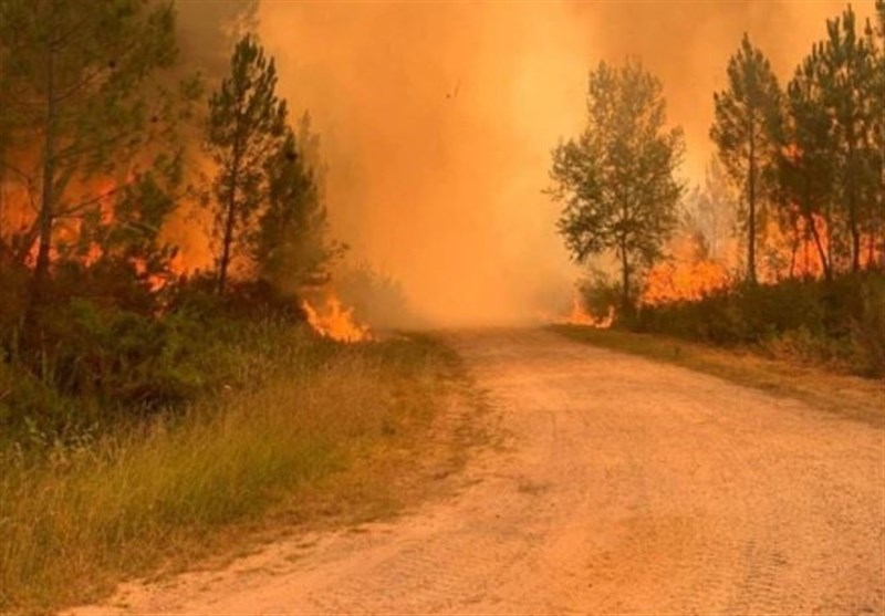 Extreme Heat Wave Sparks Wildfires in Parts of Europe