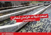صنعت شیلات در خراسان شمالی غرق فراموشی/ پرورش ماهی فرصتی برای اشتغال‌پایدار در استانی خشک