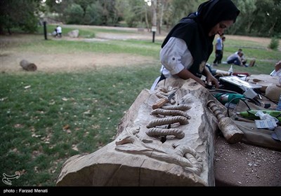 رویداد منطقه ای چوب در کرمانشاه
