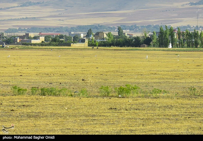 گنبد سلطانیه , استانداری زنجان , احیای منابع زیرزمینی آب , آلودگی های زیست محیطی , 