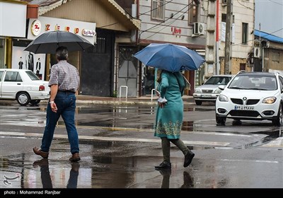 بارش باران تابستانی در رشت