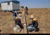 پوشش 99 درصدی گازرسانی در استان فارس