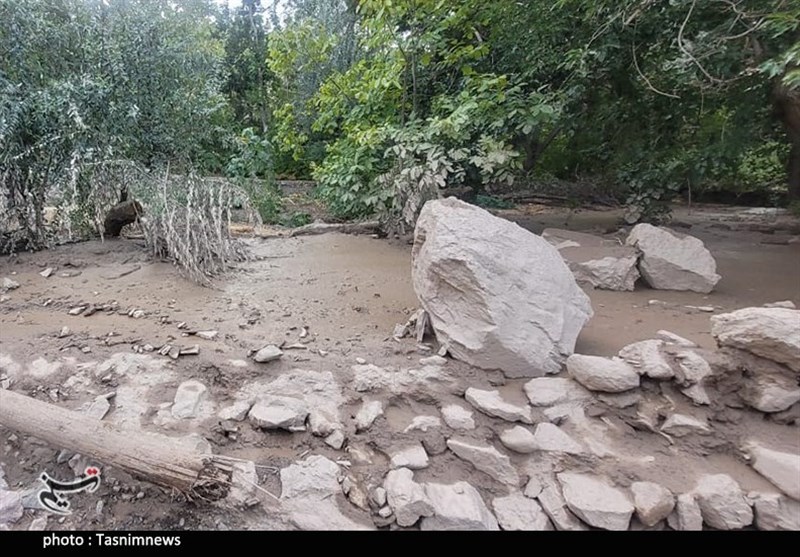 استان کرمان , سیل , سیل زده , 