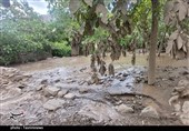 وقوع سیلاب در 15 شهرستان و روستای اصفهان در شبانه‌روز اخیر/ آب شرب مورد نیاز برخی مناطق سیلابی به طور فوری تأمین شد