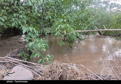 بارش‌های &quot;مونسون&quot; 3600 میلیارد تومان به بخش کشاورزی سیستان و بلوچستان خسارت زد