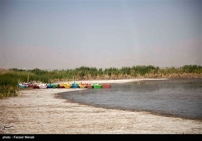 آب،منابع،استان،نيلوفر،كرمانشاه،آبي،سراب،زيست،محيط،طبيعي،سطح، ...