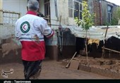 آخرین وضعیت بارش‌ها در استان لرستان| جاری‌شدن سیل در شهرستان سلسله/ خسارات سنگین به باغات و اراضی کشاورزی