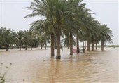 سیلاب سامانه مونسون 416 میلیارد تومان به حوزه کشاورزی استان بوشهر خسارت وارد کرد