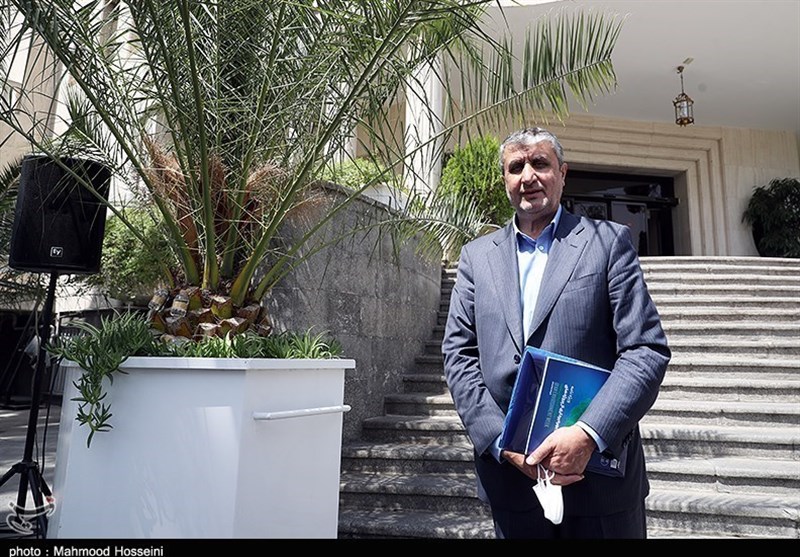 Iran to Unveil Food Irradiation Machine: AEOI Chief