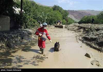  سیلاب عصر امروز ‌‌فیروزکوه را در بر می‌گیرد/ هشدار مدیریت بحران به گردشگران/ کنار رودها توقف نکنید 