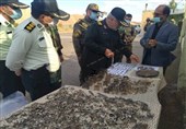 کشف 45 سکه تاریخی حین گشت بازرسی در تربت‌حیدریه