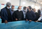 دستیابی به بیوتکنیک بچه ماهی سی‌باس آسیایی در خوزستان
