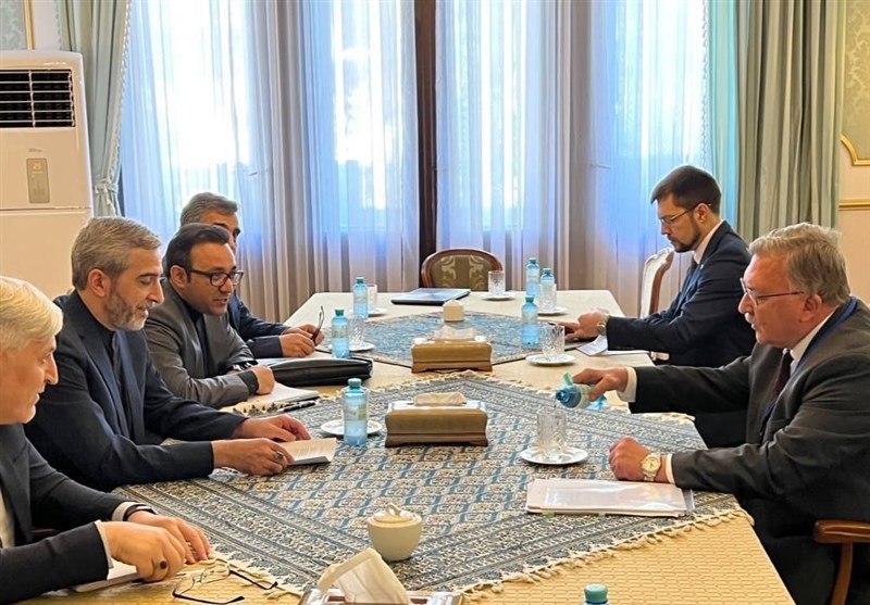 دیدار و گفتگوی مذاکره کنندگان ایران و روسیه در وین