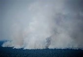 آتش سوزی گسترده در جنگل گرانه والد برلین به دلیل انفجار مهمات و گرمای شدید هوا