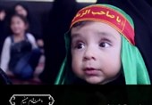 برگزاری مراسم «شیرخوارگان حسینی» در شهر هرات+ویدئو