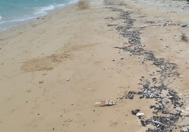عملیات پاکسازی لکه‌های نفتی در ساحل خلیج‌ فارس شهرستان کنگان آغاز شد