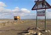 محور عباس‌آباد ـ میامی؛ جاده‌ 30 کیلومتری که قتلگاه یوزهای ایرانی شده است!