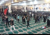 تجمع و عزاداری بوشهری‌ها در تاسوعای حسینی