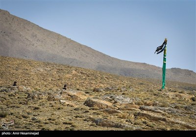 نخل گردانی در روستای تاریخی هزاوه اراک