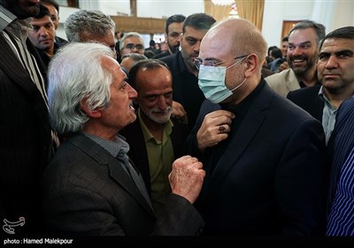 نشست اعضای شورای عالی استان‌ها با رئیس مجلس شورای اسلامی 