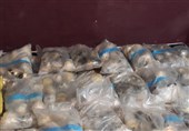 بیش از 450 کیلوگرم مواد مخدر در استان بوشهر کشف شد/ جاسازی در قایق صیادی