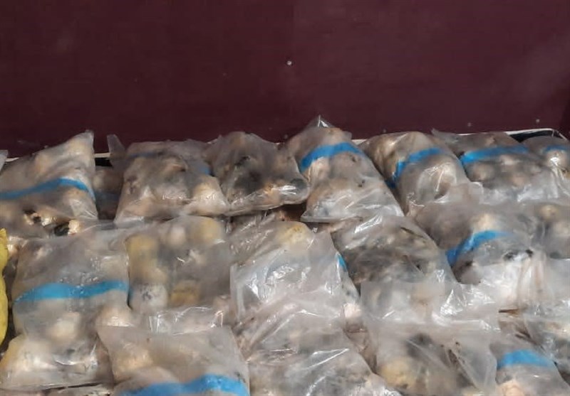 بیش از 450 کیلوگرم مواد مخدر در استان بوشهر کشف شد/ جاسازی در قایق صیادی