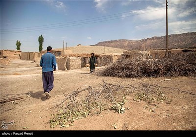 توزیع بسته های معیشتی توسط بنیاد مستضعفان در کرمانشاه