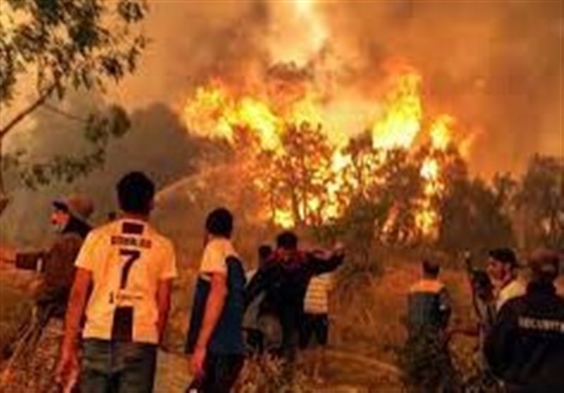 At Least 26 Killed, Dozens Injured by Forest Fires in Northern Algeria
