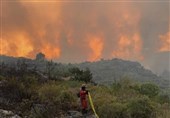 Iran Sympathizes with Algeria after Deadly Forest Fires