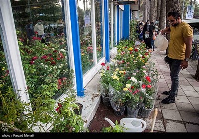 نمایشگاه گل و گیاه در کرمانشاه