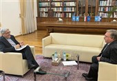 دیدار نماینده ایران در سازمان‌های بین‌المللی در وین با اولیانوف